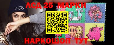 индика Пенза