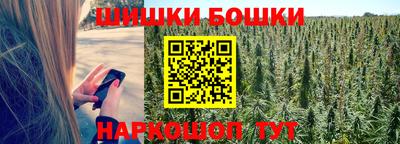 индика Пенза