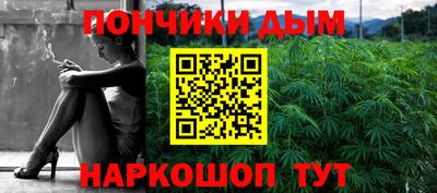 индика Пенза