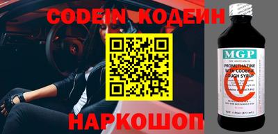 индика Пенза