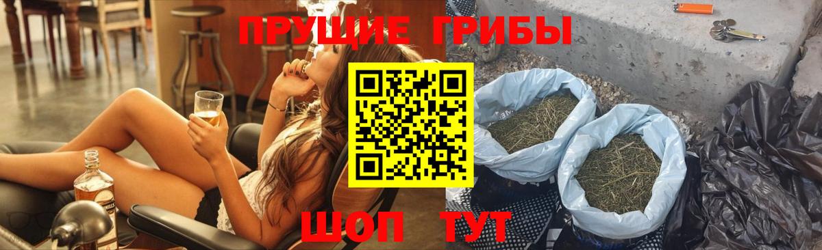 Галлюциногенные грибы Cubensis  где купить наркотик  Псилоцибиновые грибы MAGIC MUSHROOMS  Сосновоборск  Вход с VPN 