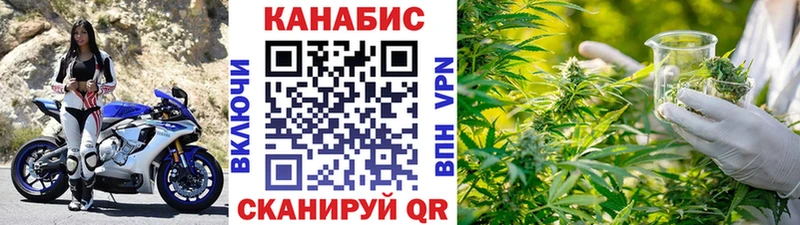 где купить наркотик Сосновоборск Бошки марихуана конопля